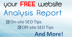Get Your Free SEO Report Here