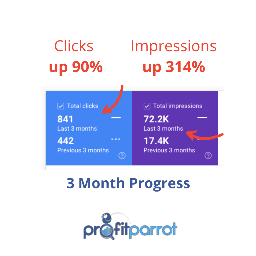 profit parrot seo results impressions clicks ottawa portfolio