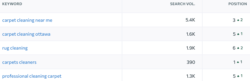 carpet cleaning leads