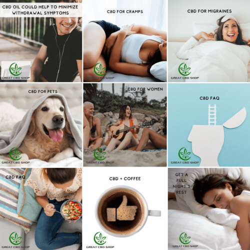 ottawa social media manager