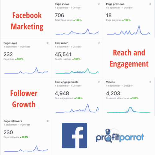 social media management ottawa facebook manager