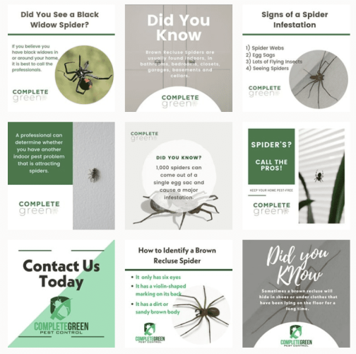 social media management instagram ottawa